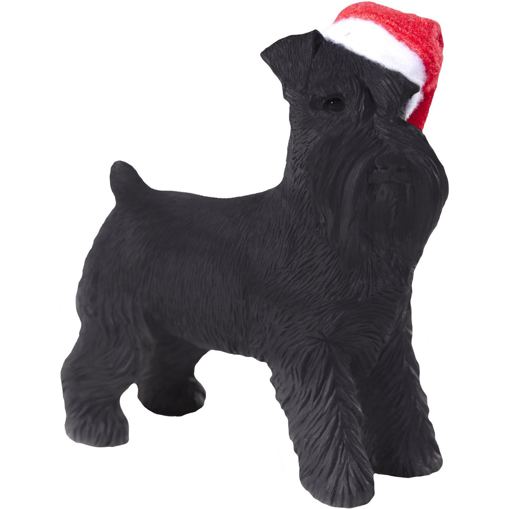 Uncut schnauzer best sale