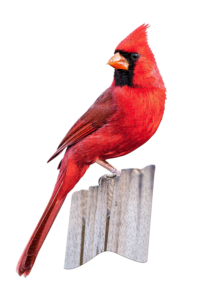 Madd Capp Games & Puzzles - DISPLAY - Cardinal 300