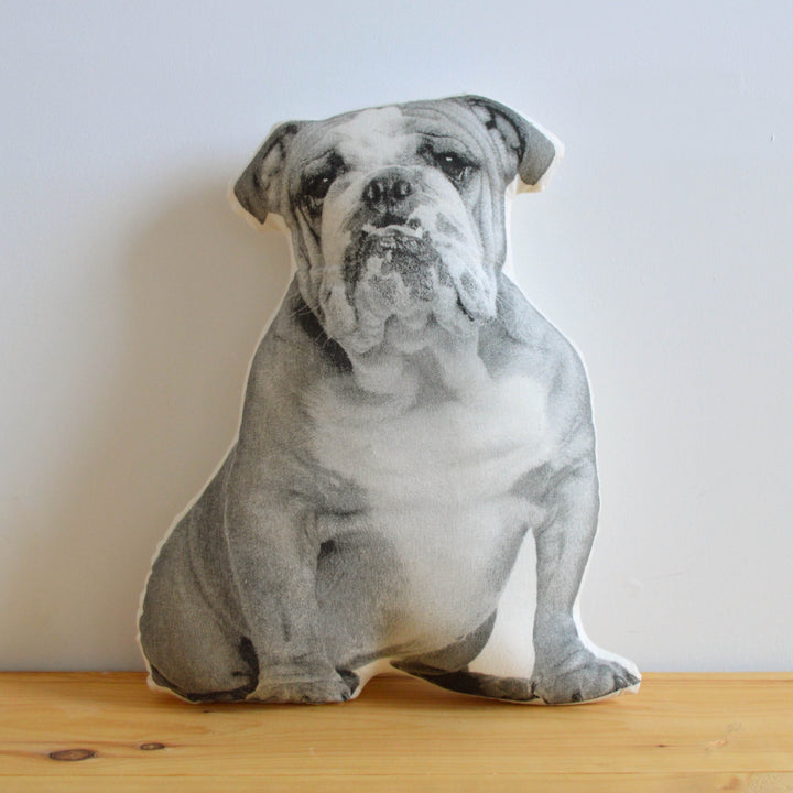 Broderpress - Bulldog Pillow