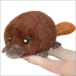 Squishable - Mini Squishable Baby Platypus