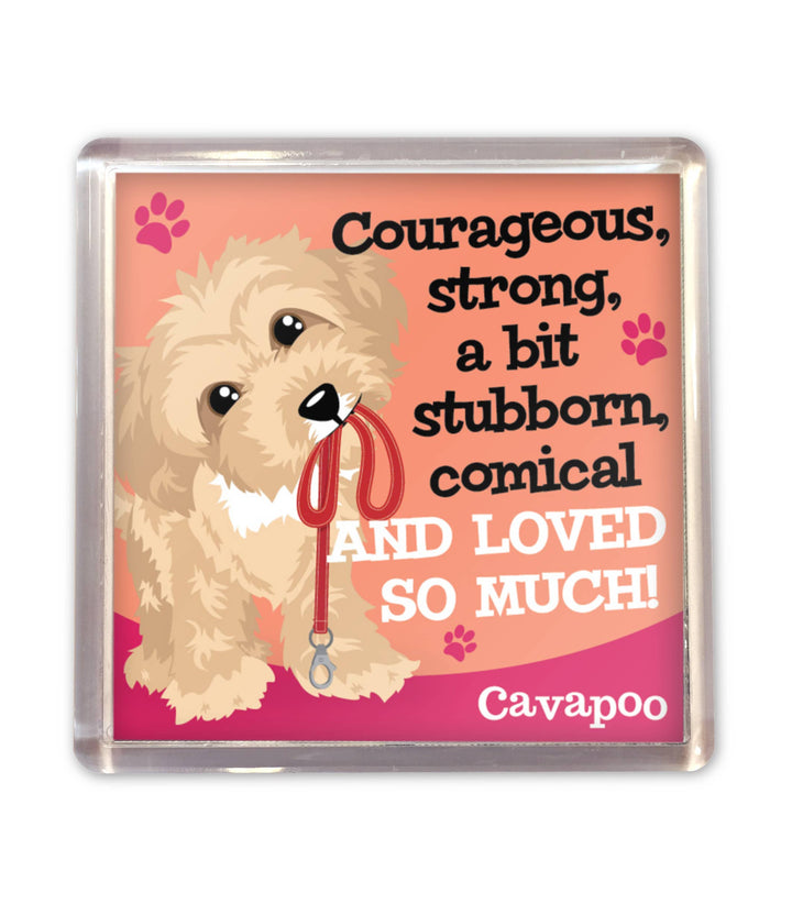 History & Heraldry - Wags Whiskers Magnet - Cavapoo