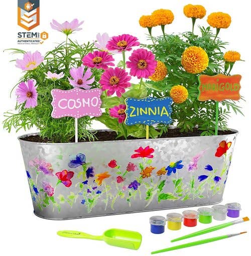 Dan&Darci - Paint and Plant Flower Growing Kit