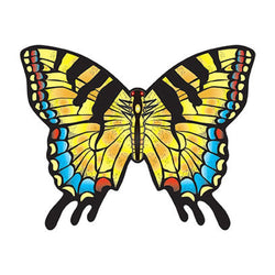 Microkite Swallowtail Butterfly