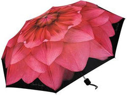 Harold Feinstein Dahlia Collapsible Umbrella - pink