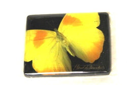 Harold Feinstein Butterfly Magnets- Yellow