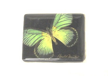 Harold Feinstein Butterfly Magnets- Green with Stripes