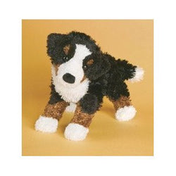 Miranda the Bernese Mountain Dog
