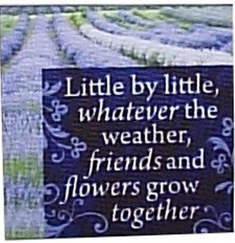 Canvas Magnets- Friends and Flowers