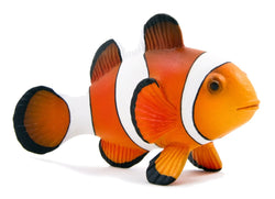 Kidsource Mojo Clown Fish
