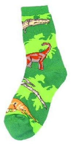 Dinosaur Mix Socks- Small