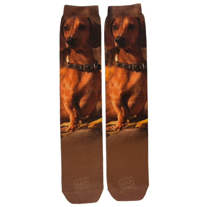 Dachshund Socks Sublimation Tube Socks