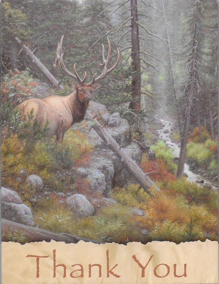 Leanin Tree Elk in the Woods Blank Notecards wih Envelopes - Freedom Day Sales