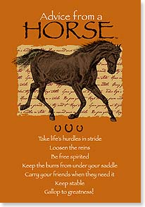 Advice from a Horse Blank Notecards wih Envelopes - Freedom Day Sales
