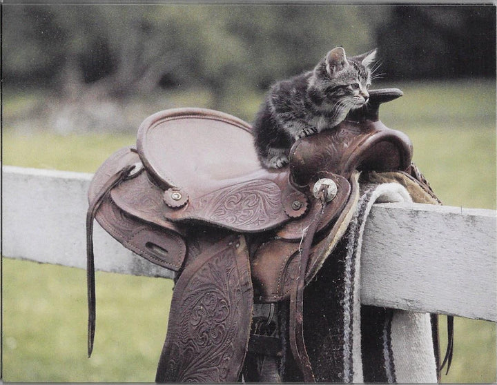 Kitten and Saddle 8 Blank Notecards with Envelopes