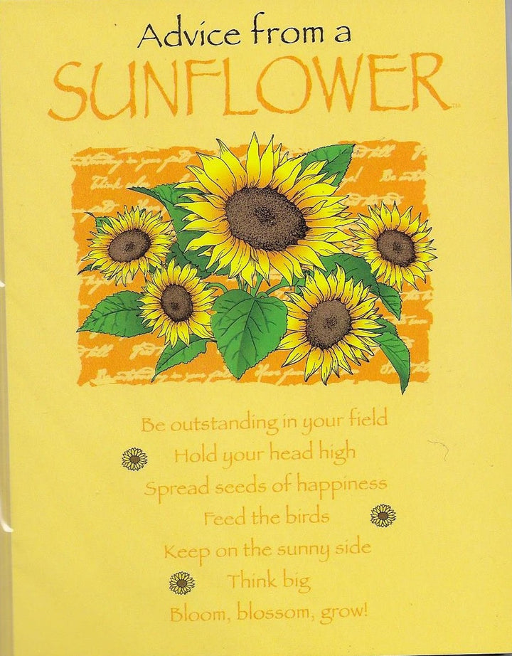 Advice from a Sunflower 8 Blank Notecards and Envelopes