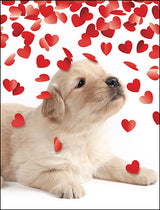 Hearts and Puppies Valentine's Day Card Set-Front
