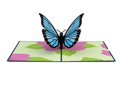 Lovepop Blue Morpho Butterfly Pop Up Greeting Card