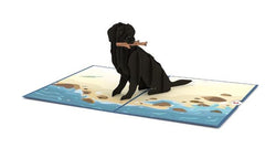 Lovepop Black Lab Pop Up Greeting Card