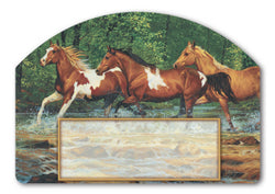 Spring Creek Run Yard DeSign