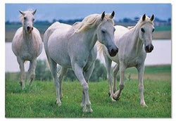 Melissa & Doug 100 pc White Stallions Cardboard Jigsaw Puzzle