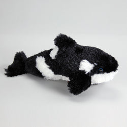 Glacier Jr the Orca