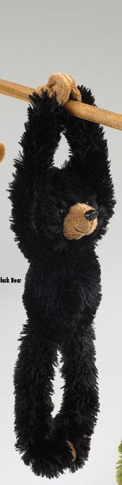 Black Bear