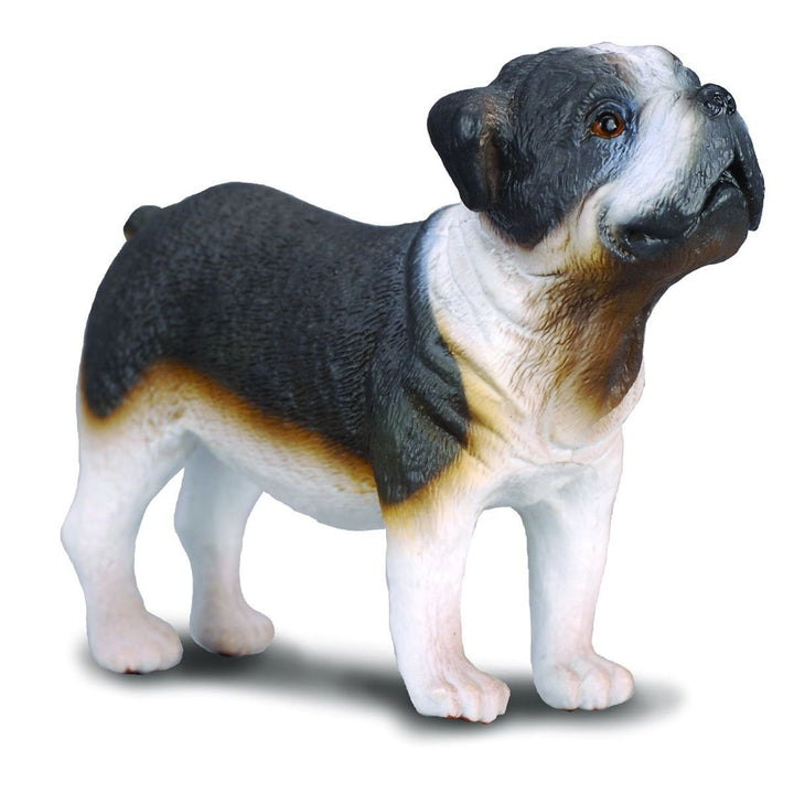 Reeves Collecta Bull Dog