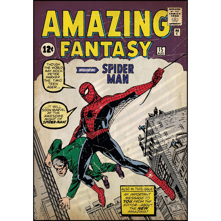Spider-Man Issue #1 Comic Cover Giant Wall Decal