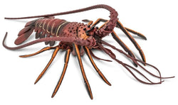 Safari Spiny Lobster