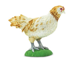 Safari Ameraucana Chicken