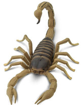 Safari Scorpion