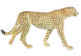 Safari Cheetah