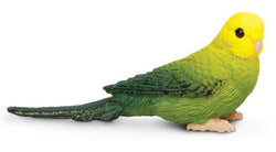 Safari Green Budgie