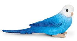 Safari Blue Budgie