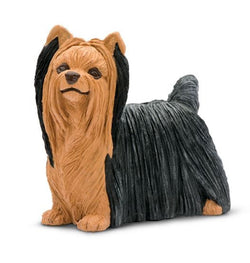 Safari Yorkshire Terrier