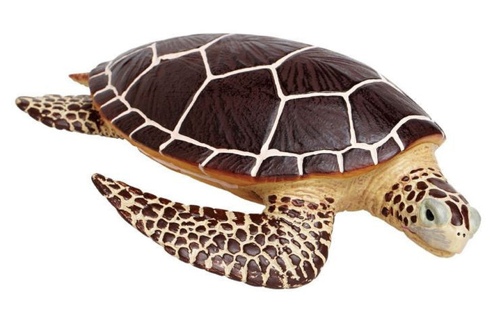 Safari Limited Sea Turtle