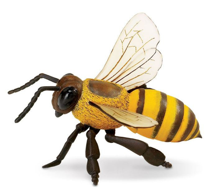 Safari Honey Bee