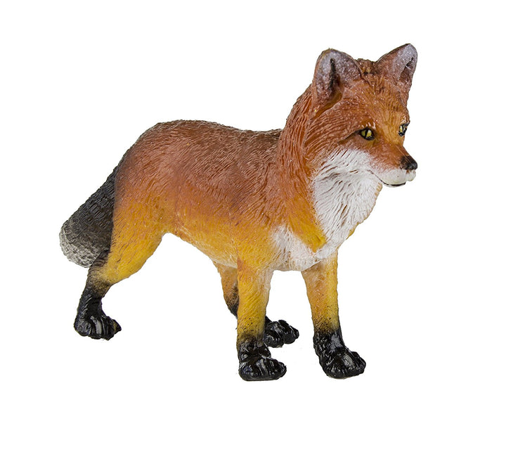 Safari Red Fox