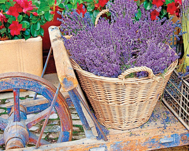 Springbok Basket of Lavender Jigsaw Puzzle, 1000-Piece