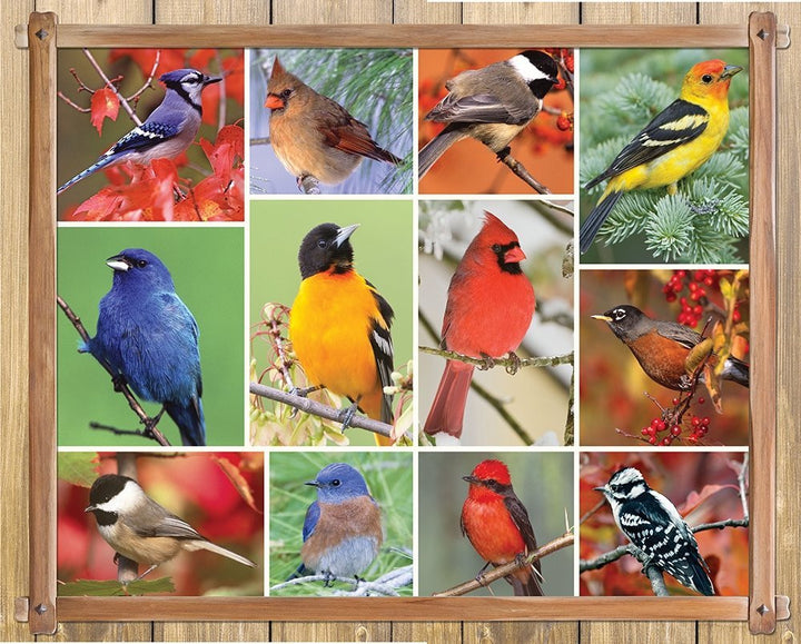 Songbirds Jigsaw Puzzle (1000 Piece)