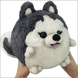 Mini Squishable Husky  7
