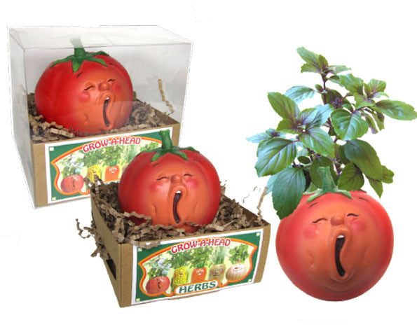 Grow a Head Veggie Planter Tomato/Basil