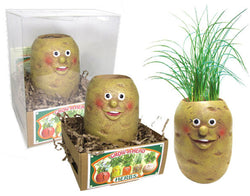 Grow a Head Veggie Planter Potato/ Chives