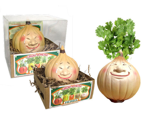 Grow a Head Veggie Planter Onion/Cilantro