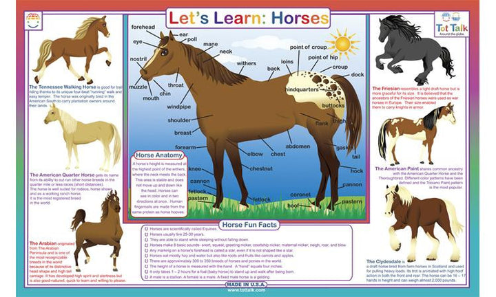 Let's Ride: Horses Placemat