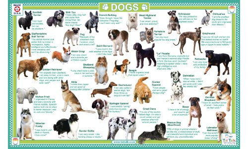 Dogs Placemat