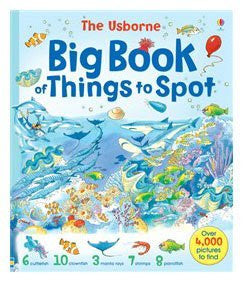 Big Book of Things to Spot (1001 Things to Spot) Paperback