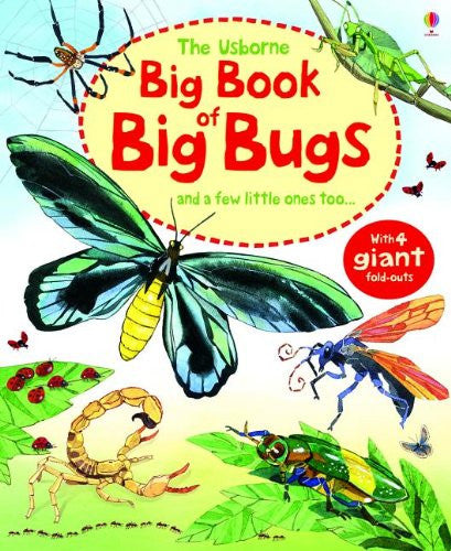 The Usborne Big Book of Big Bugs: And a Few Little Ones Too…