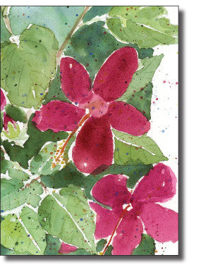 Boxed Cards- Hibiscus
