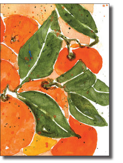 Boxed Cards- Citrus Fruits